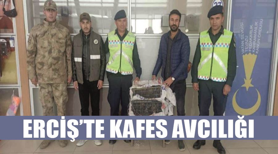 Erciş’te kafes avcılığı