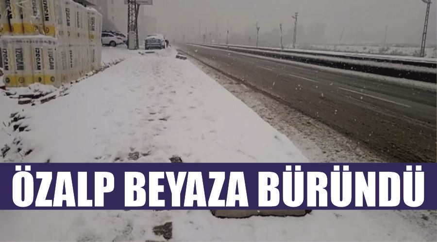 Özalp beyaza büründü