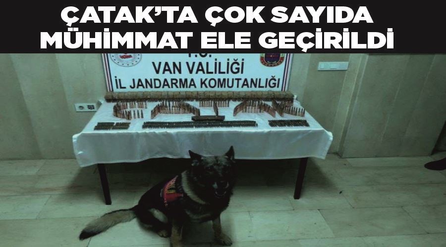 Çatak’ta çok sayıda mühimmat ele geçirildi