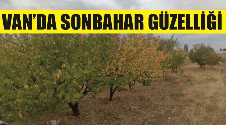 Van’da sonbahar güzelliği