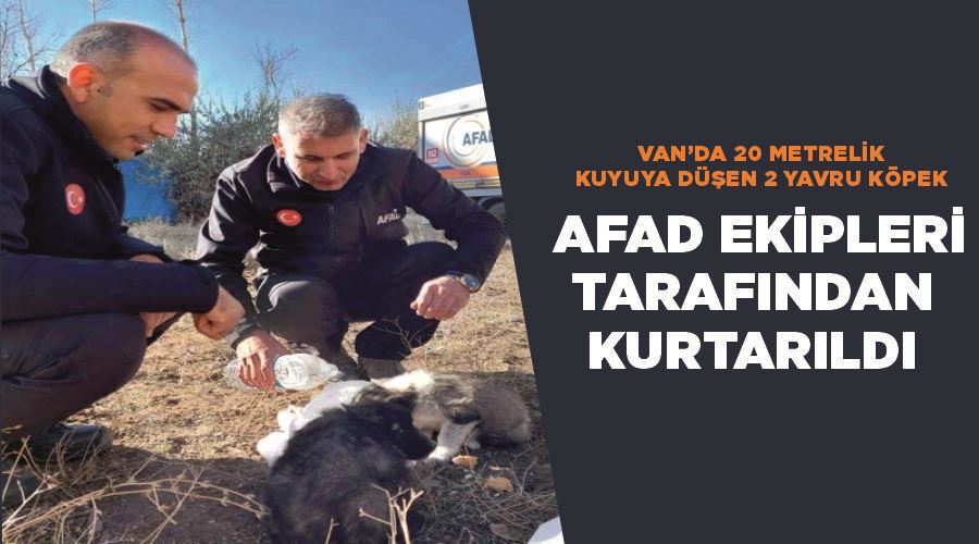 Van’da 20 metrelik kuyuya düşen 2 yavru köpek AFAD ekipleri tarafından kurtarıldı
