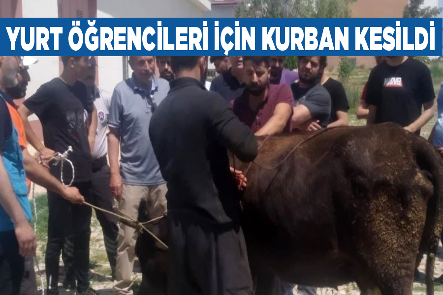 Yurt öğrencileri için kurban kesildi