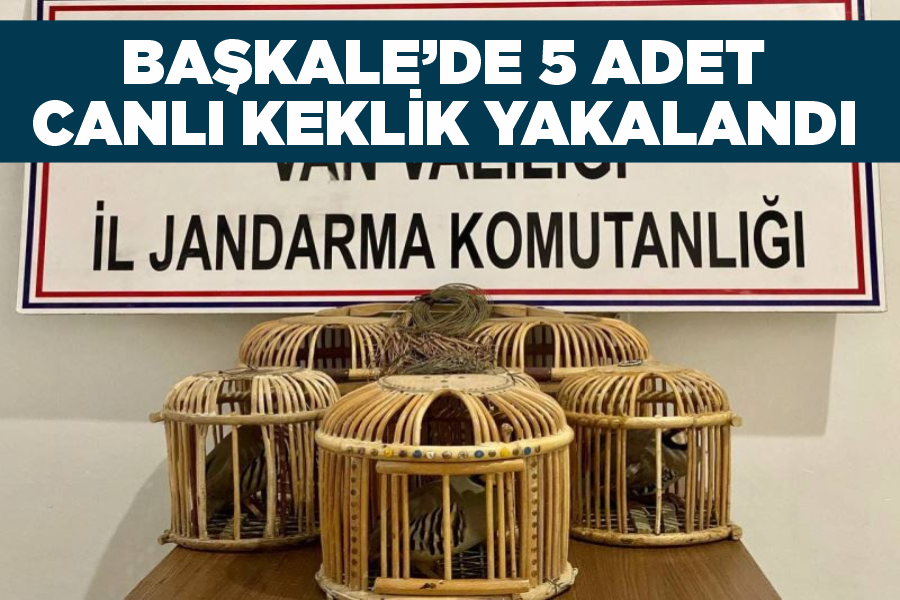 Başkale’de 5 adet canlı keklik yakalandı