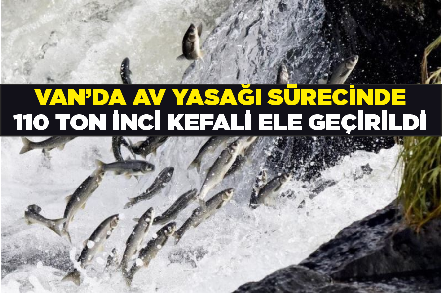 Van’da av yasağı sürecinde 110 ton inci kefali ele geçirildi