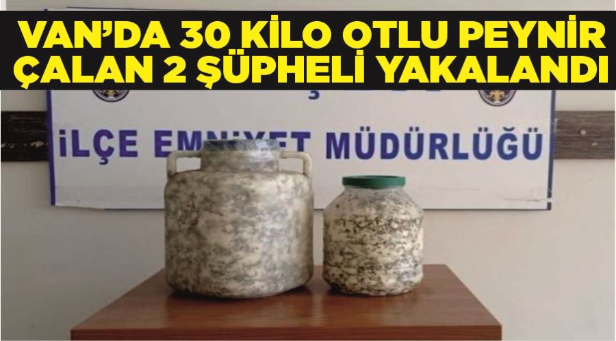 Van’da 30 kilo otlu peynir çalan 2 şüpheli yakalandı