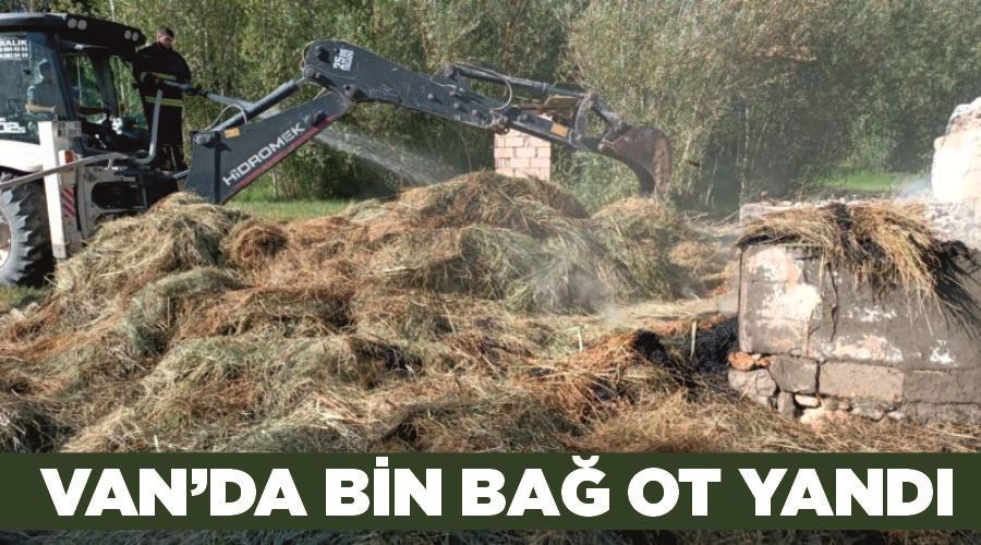 Van’da bin bağ ot yandı