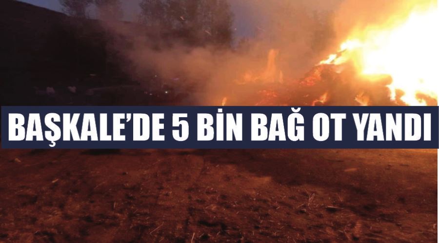 Başkale’de 5 bin bağ ot yandı