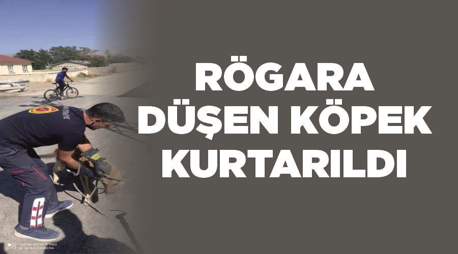 Rögara düşen köpek kurtarıldı