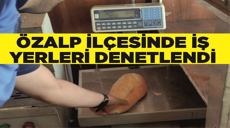 Özalp ilçesinde iş yerleri denetlendi