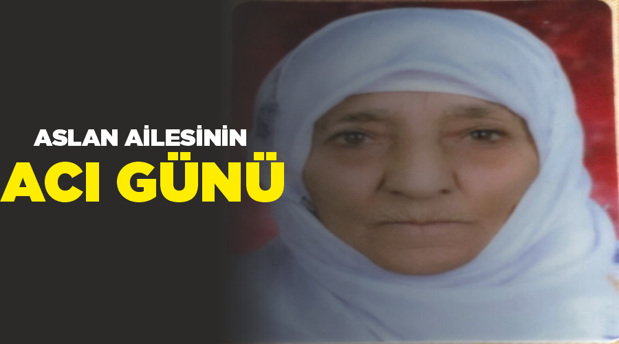Aslan ailesinin acı günü