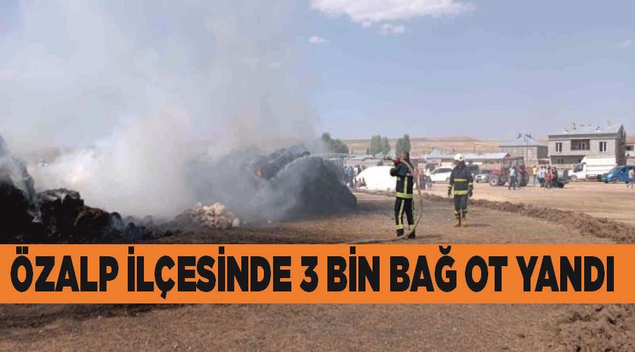 Özalp ilçesinde 3 bin bağ ot yandı