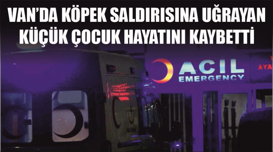 Van’da köpek saldırısına uğrayan küçük çocuk hayatını kaybetti