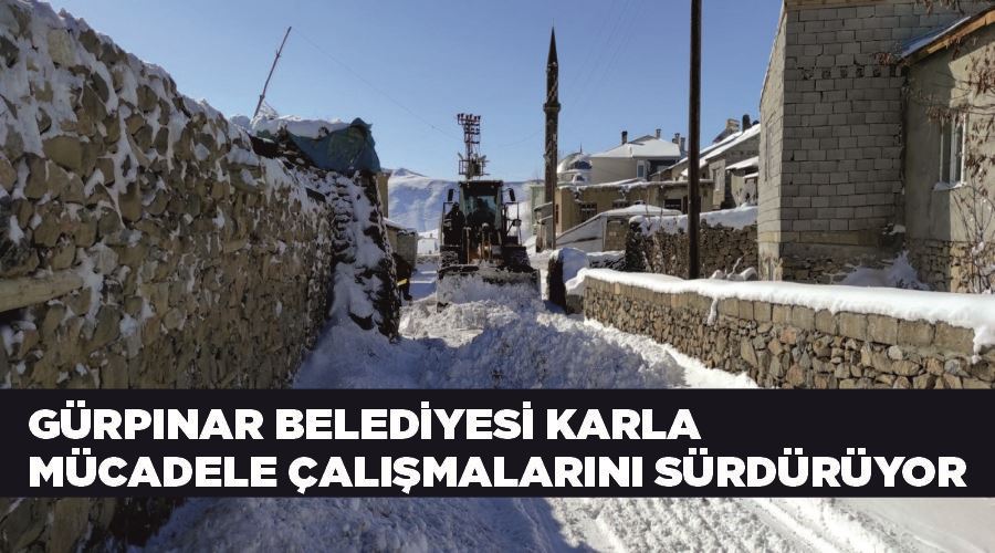 Gürpınar Belediyesi Karla Mücadele Çalışmalarını Sürdürüyor