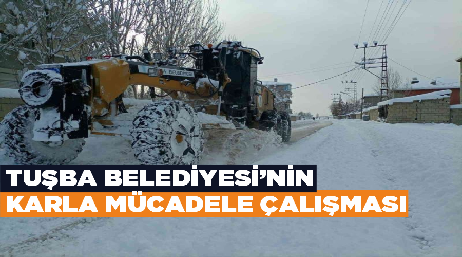 Tuşba Belediyesi’nin karla mücadele çalışması
