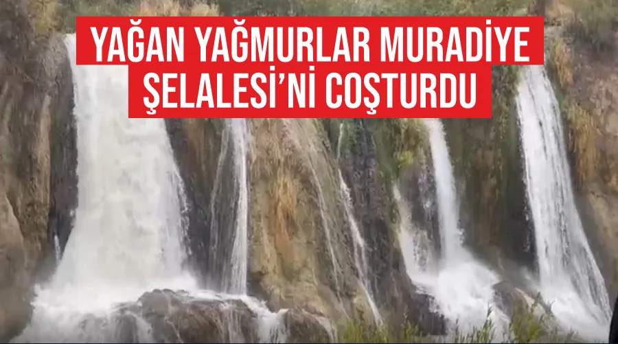 Yağan yağmurlar Muradiye Şelalesi’ni coşturdu