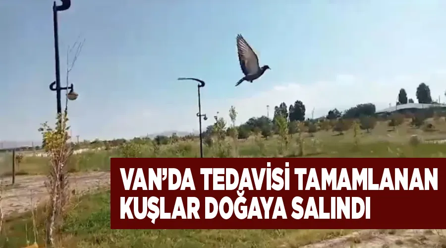 Van’da tedavisi tamamlanan kuşlar doğaya salındı