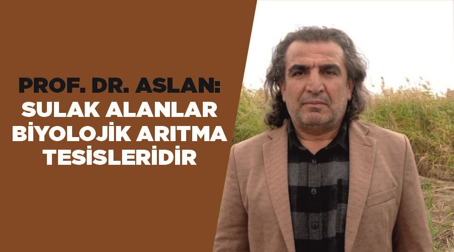 Prof. Dr. Aslan: “Sulak alanlar biyolojik arıtma tesisleridir”