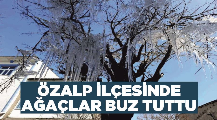 Özalp ilçesinde ağaçlar buz tuttu