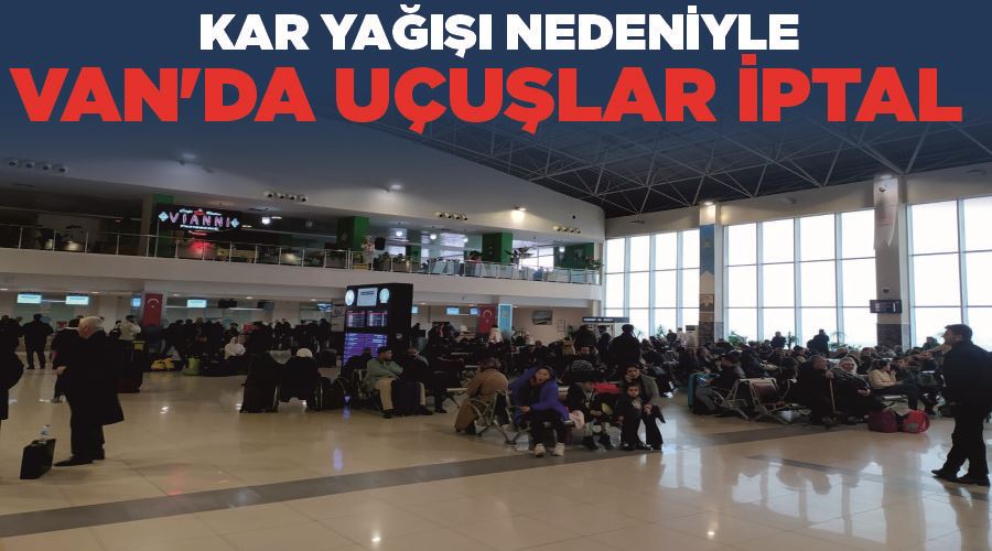 Kar yağışı nedeniyle Van