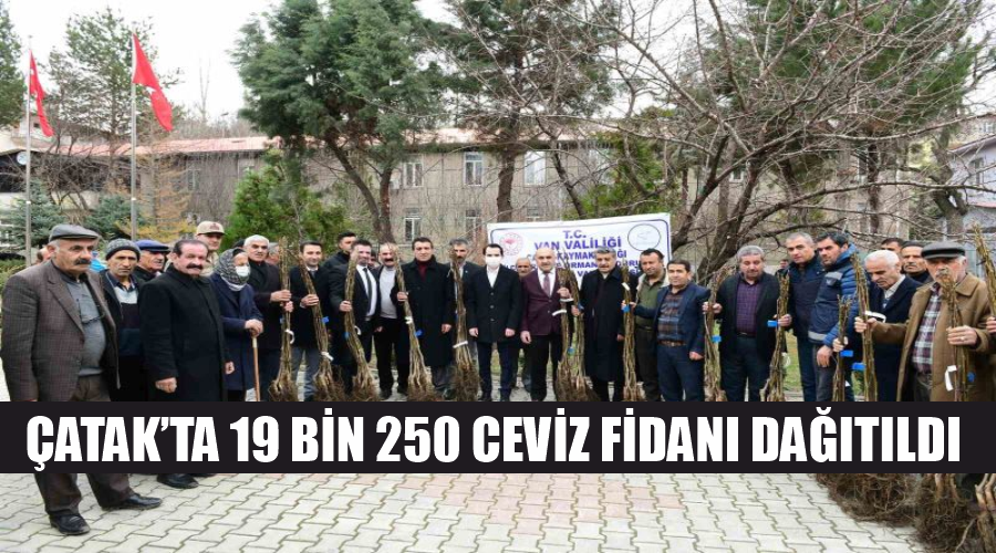 Çatak’ta 19 bin 250 ceviz fidanı dağıtıldı