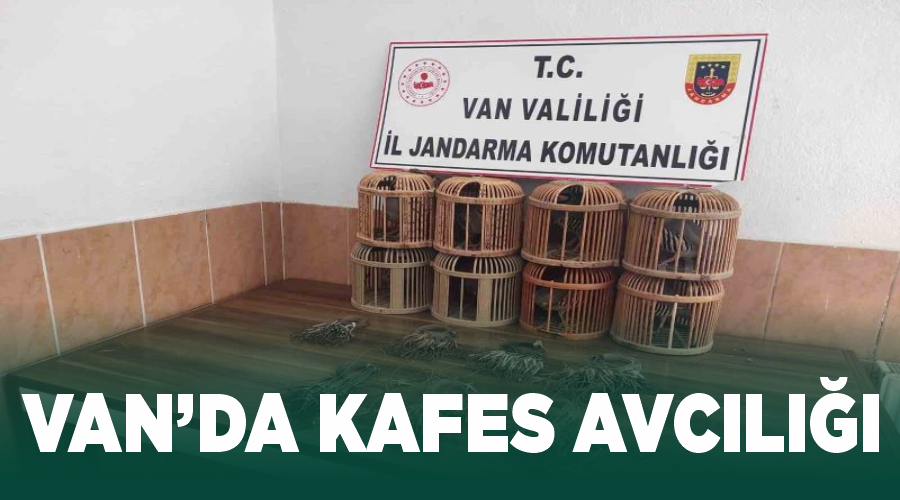 Van’da kafes avcılığı