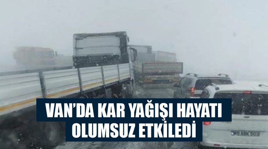 Van’da kar yağışı hayatı olumsuz etkiledi