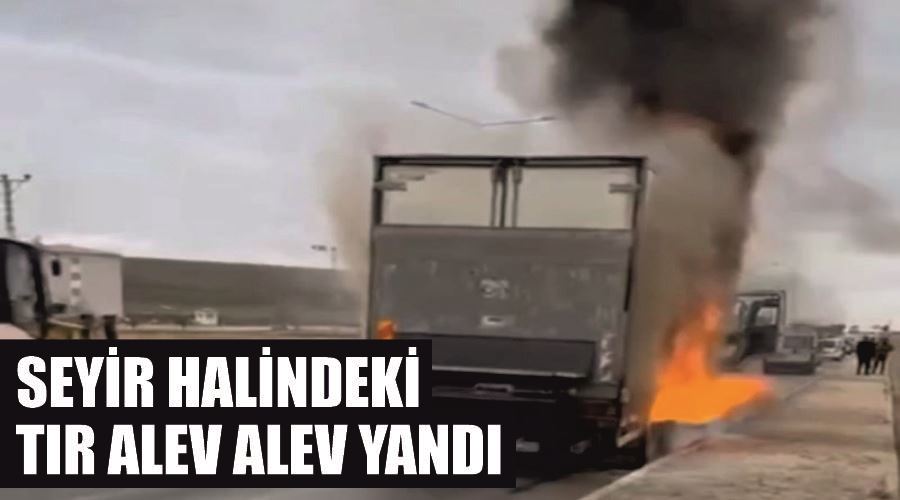 Seyir halindeki tır alev alev yandı