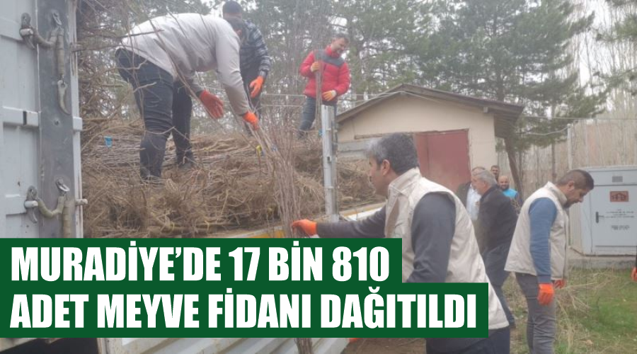 Muradiye’de 17 bin 810 adet meyve fidanı dağıtıldı
