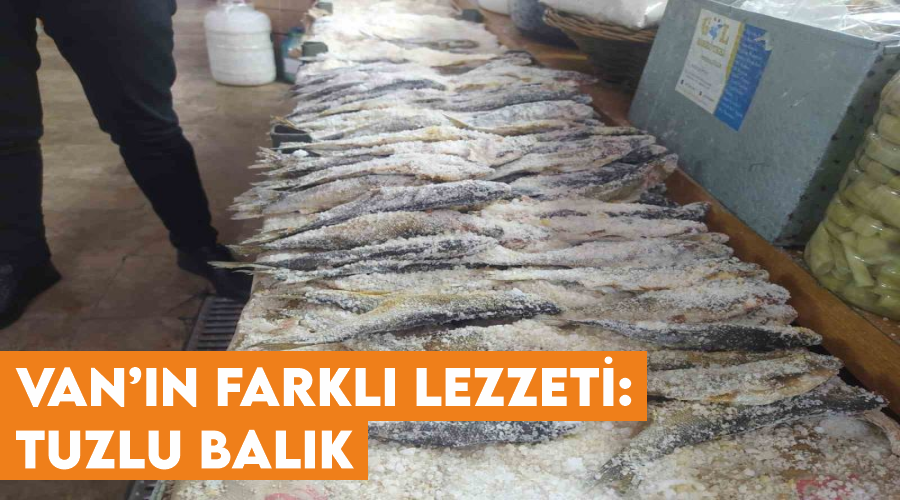 Van’ın farklı lezzeti: Tuzlu balık
