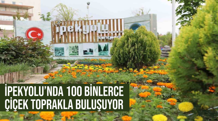 İpekyolu’nda 100 binlerce çiçek toprakla buluşuyor