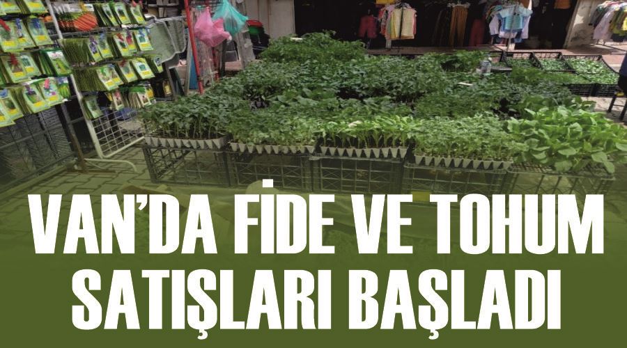 Van’da fide ve tohum satışları başladı