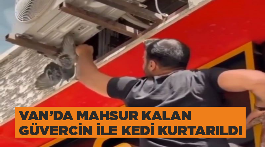 Van’da mahsur kalan güvercin ile kedi kurtarıldı