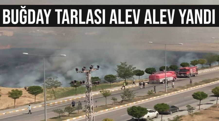 Buğday tarlası alev alev yandı