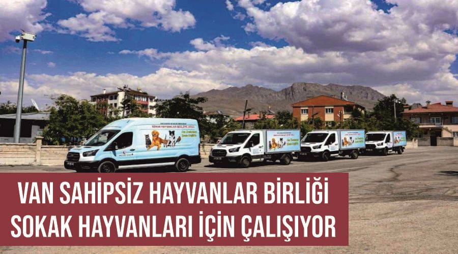 Van Sahipsiz Hayvanlar Birliği sokak hayvanları için çalışıyor