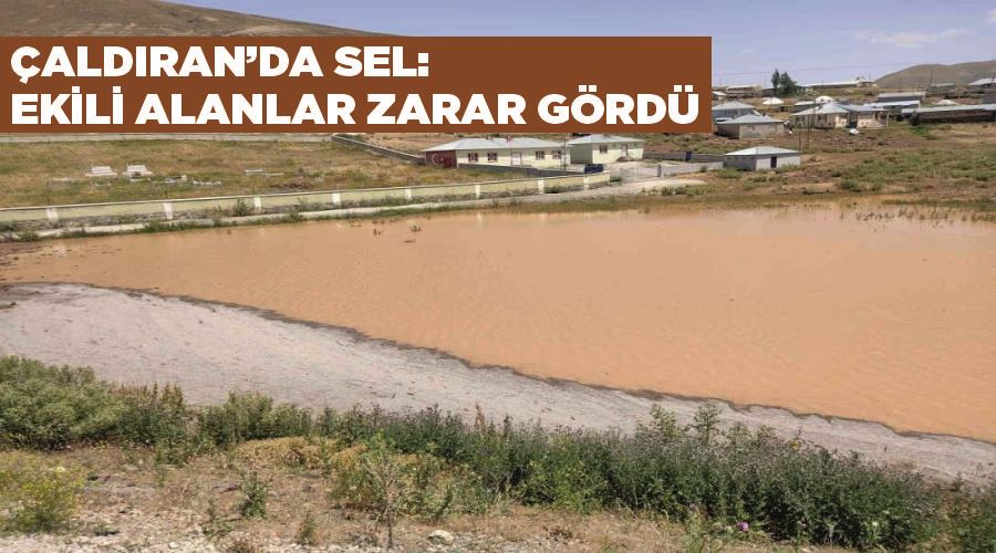 Çaldıran’da sel: Ekili alanlar zarar gördü