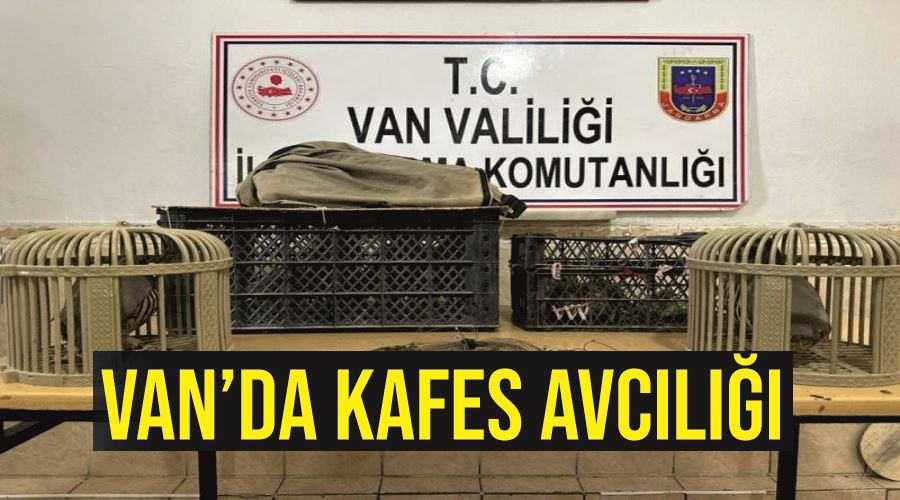 Van’da kafes avcılığı