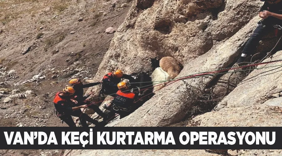 Van’da keçi kurtarma operasyonu