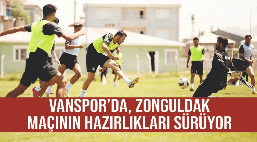 Vanspor