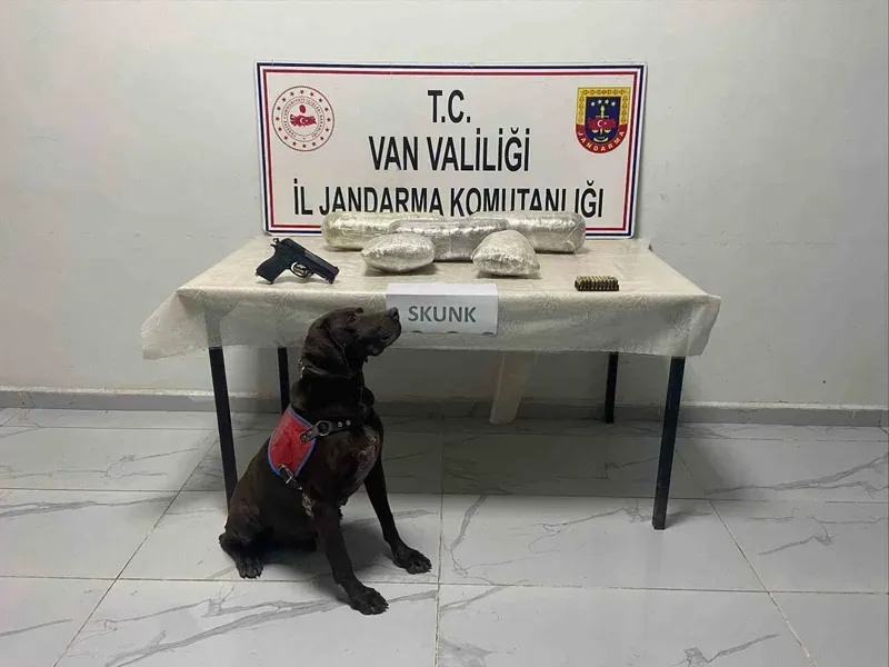 Van’da 4 kilo 311 gram skunk ve gümrük kaçağı malzeme ele geçirildi