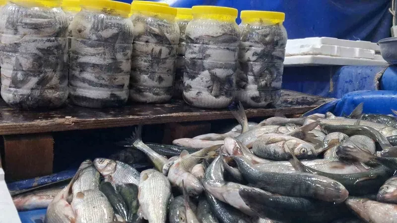 Van’da havaların soğumasıyla inci kefaline ilgi arttı