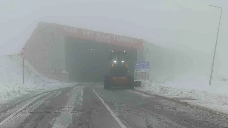 Turuncu kaplanların kar mesaisi Van Karabet Geçidi’nde başladı