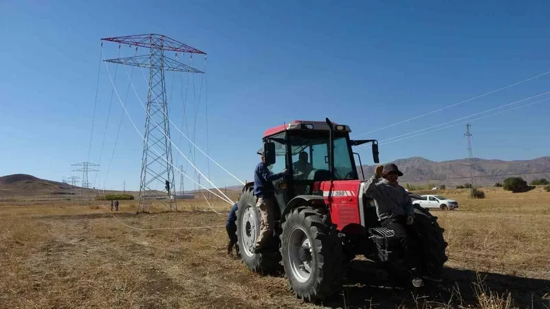 Van’da 31 kilometrelik enerji hattı tamamlandı: Çalışmalarda yabani kuşlar gözetildi