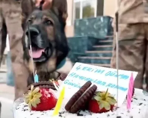 Jandarmadan ‘can dostlara’ özel kutlama