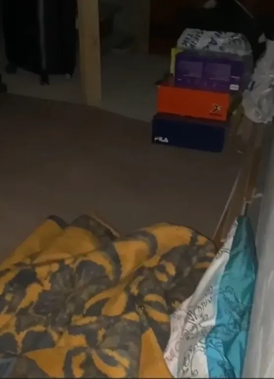 Van’da 12,5 yıl kesinleşmiş hapis cezası bulunan müdür gizli bölmede yakalandı