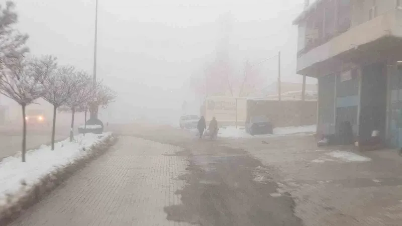 Başkale’de sis etkili oldu