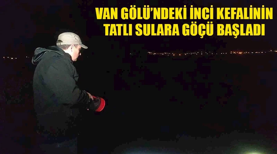 Van Gölü