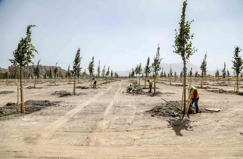 Van Büyükşehir Belediyesi Ihlamur Parkı’yla kente renk katacak