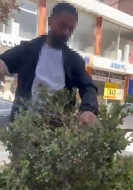 Van’da refüjdeki çiçek ve fidanlara zarar veren şahıs suçüstü yakalandı