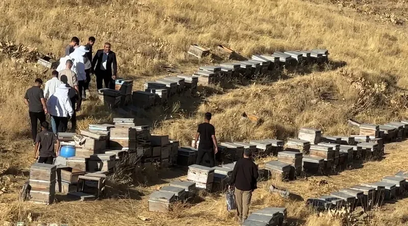 Yüksekova’da bal hasadı başladı