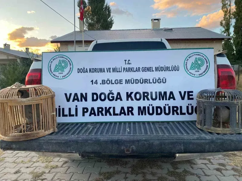 Van’da kafes avcılığı yapan şahsa 48 bin lira cezai işlem uygulanacak